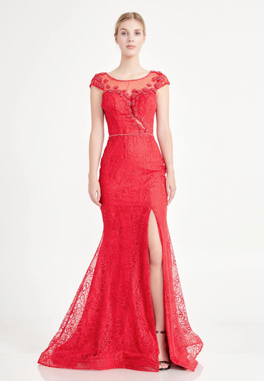 Short Sleeve Maxi Tulle Mermaid Regular Prom Dress Unit Price: €40