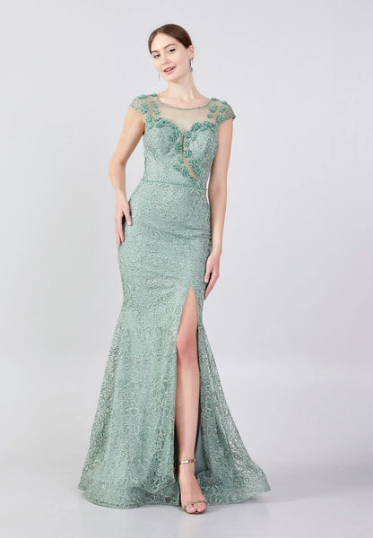 Short Sleeve Maxi Tulle Mermaid Regular Prom Dress Unit Price: €40