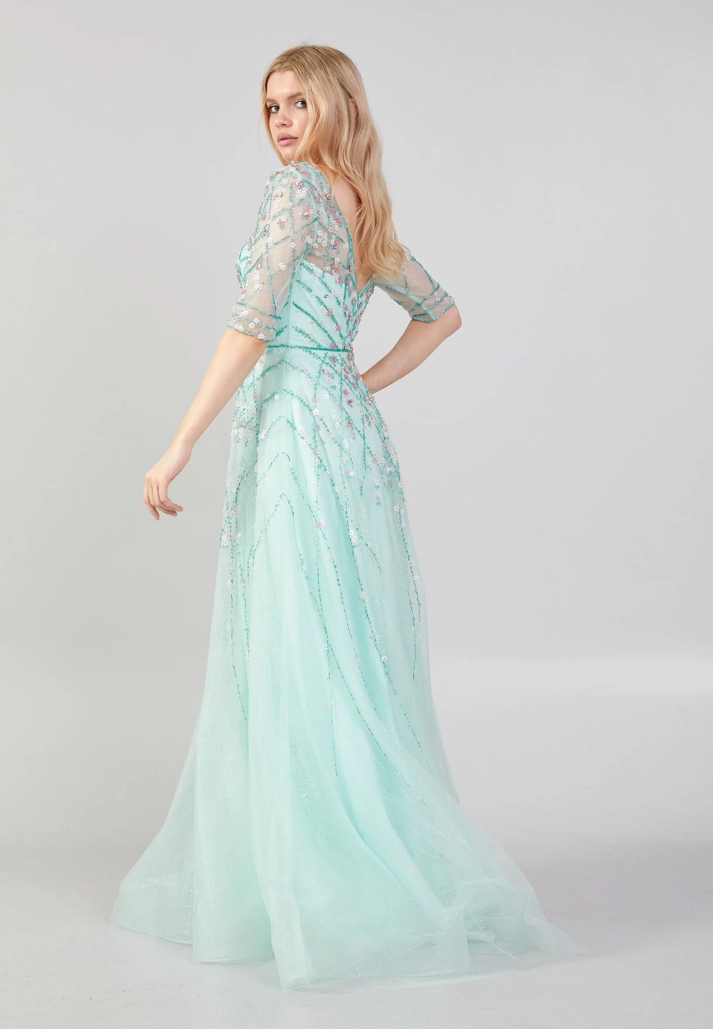 Short Sleeve Maxi Tulle A - Line Regular Prom Dress Unit Price: €85