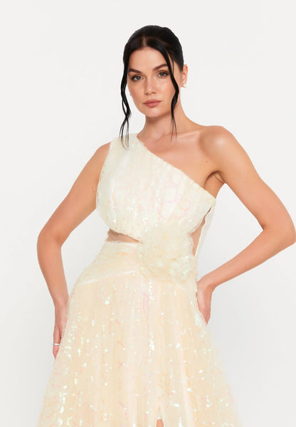 One Shoulder Maxi Tulle A - Line Regular Prom Dress Unit Price: €83